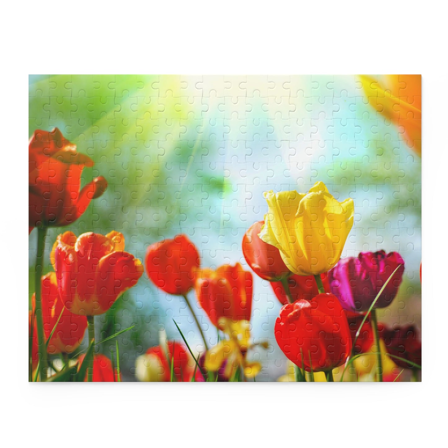Puzzle (120, 252, 500-Piece)