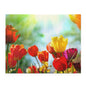Puzzle (120, 252, 500-Piece)
