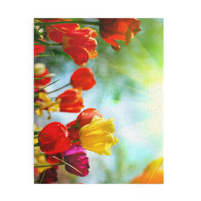 Puzzle (120, 252, 500-Piece)