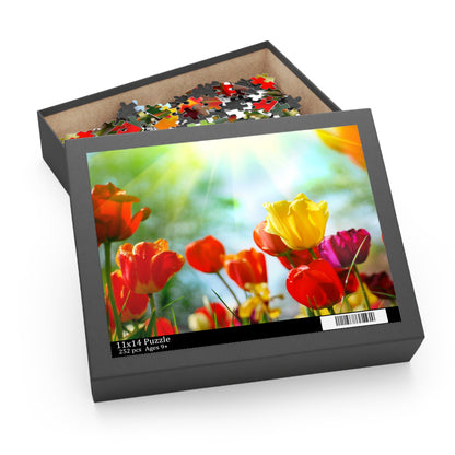 Puzzle (120, 252, 500-Piece)