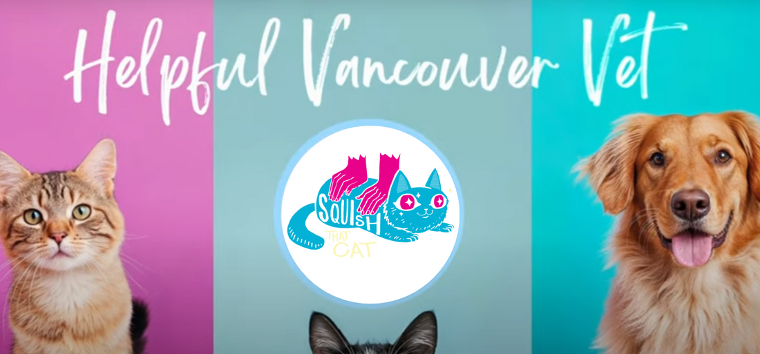 Hole That Cat Tight and Squish - Helpful Vancouver Vet